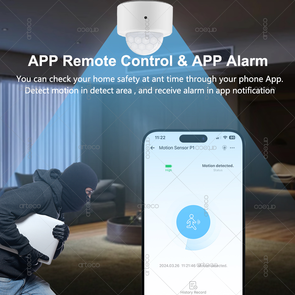 Ewelink Zigbee PIR Motion Sens - Home Improvement And Hardware recension och pris